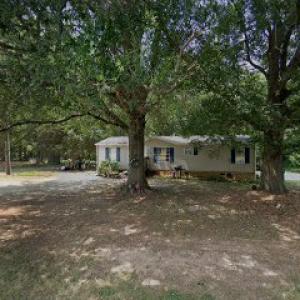 Wolf’s stump Grinding.