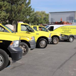 Progressive Pest Management & Weed Control