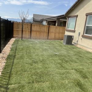 The Four Winds tree & landscape design