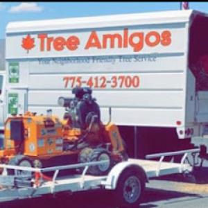Tree Amigos