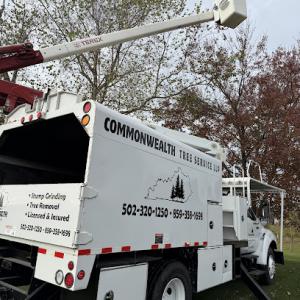 Commonwealth Tree Service