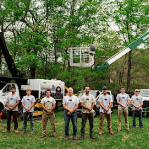 Integrity Tree Service