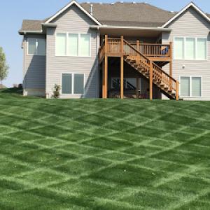 All-In Lawn Care