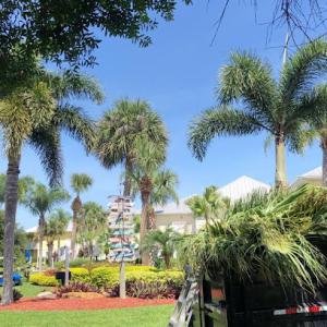 Harmoni Land & Tree service