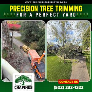 Chapines Tree Service
