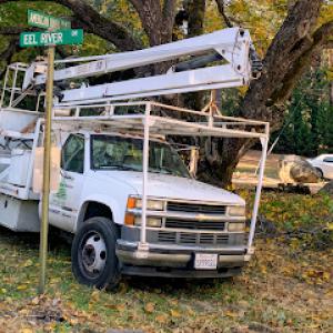 Bellizzi Tree Service of Sonora