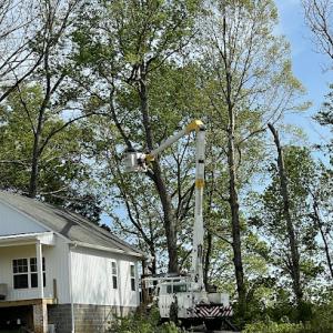 McDowell’s Tree Service