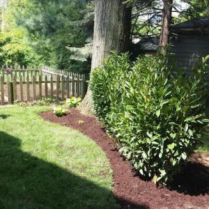 Well Done Tree Service