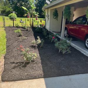 Bowerman Removal Service