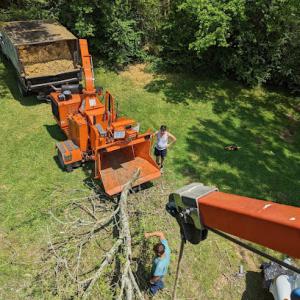 R&A Tree Service