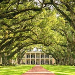 Affordable Tree Service