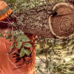 Brown's Tree Service LC