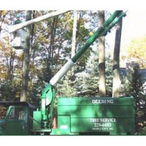 Deering Tree Service