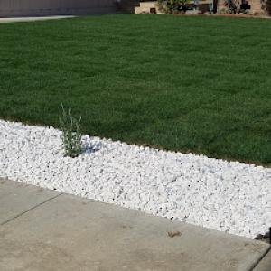 Tree of Life Tree Service