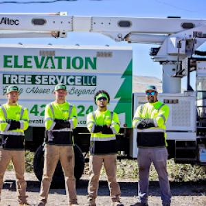 Elevation Tree Service LLC, Magic Valley