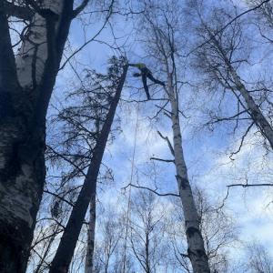 Send It Tree Service