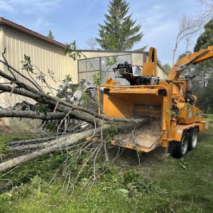 Black River Tree & Power