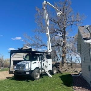 Custom Cuts Tree Service