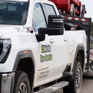 Wichita Tree Service