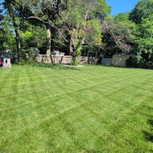 Wichita Lawn Care