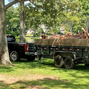 Yard Dog Debris Removal