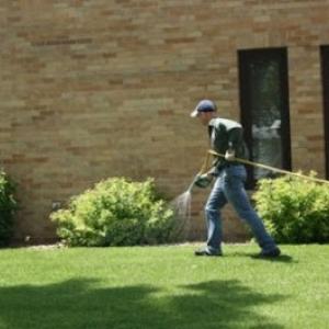 Tree-n-Turf Services