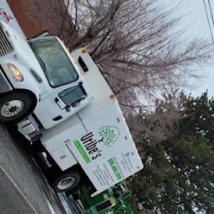 Uribe's Tree Service