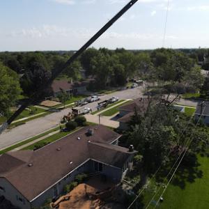 Lowney's Tree Service