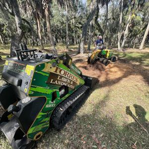 Torres Tree & Landscape