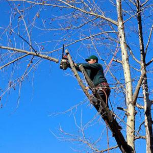 Keller Tree Service