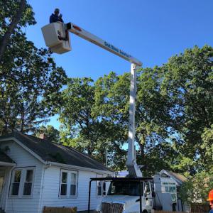 Adan Landscaping & Tree Services