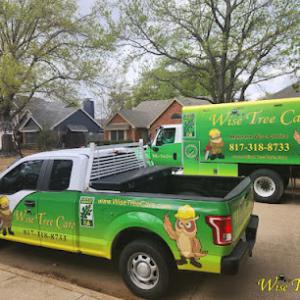 Wise Tree Care