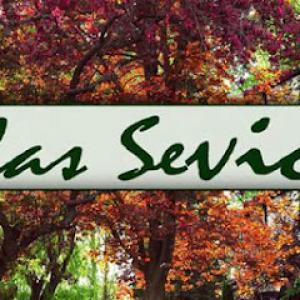 Salas Services
