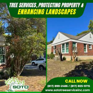 Soto Tree Service