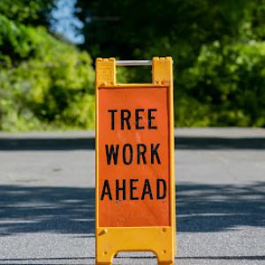 G & G Lawn Care & Tree Service