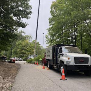 S.M.B Family Tree Service