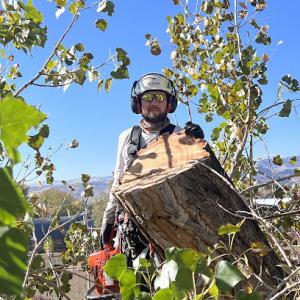 Colorado Premier Tree Care