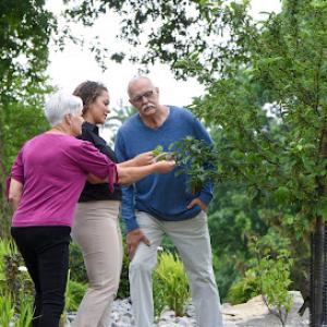 The Davey Tree Expert Company