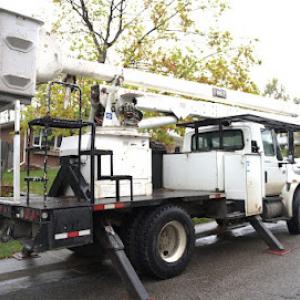 Tree Service Thornton
