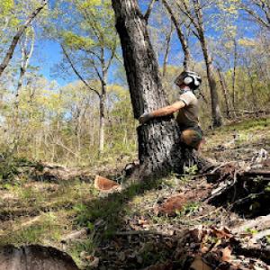 Gravity Works Tree Service