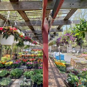 Santelli & Son's Landscape & Tree Care