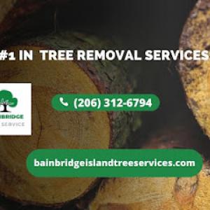 Bainbridge Tree Service