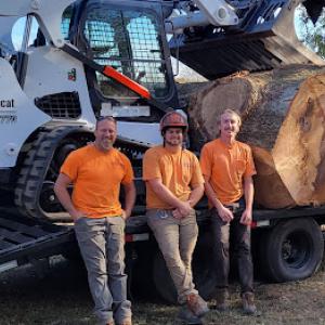 Sherwood Forest Tree Service