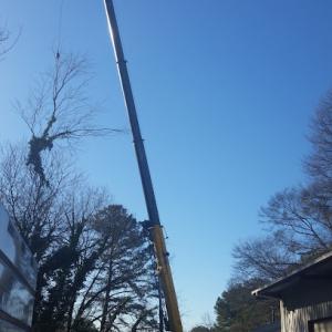 Craig Daniel Tree Services