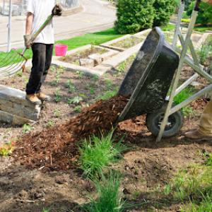 McElhaney & Sons Nursery