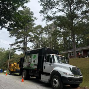 TreeDog Atlanta Services