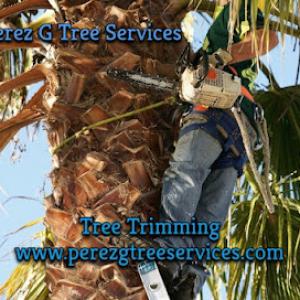 Perez G Tree Services