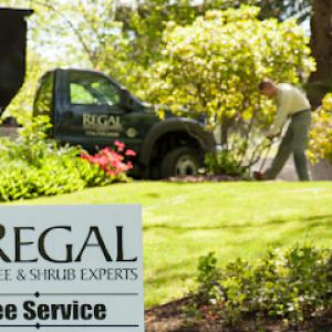 Regal Tree & Shrub Experts