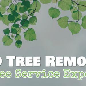 3D Tree Removal Service