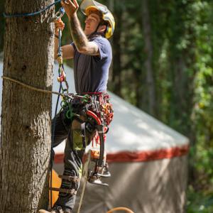 Pine & Ponder Tree Service